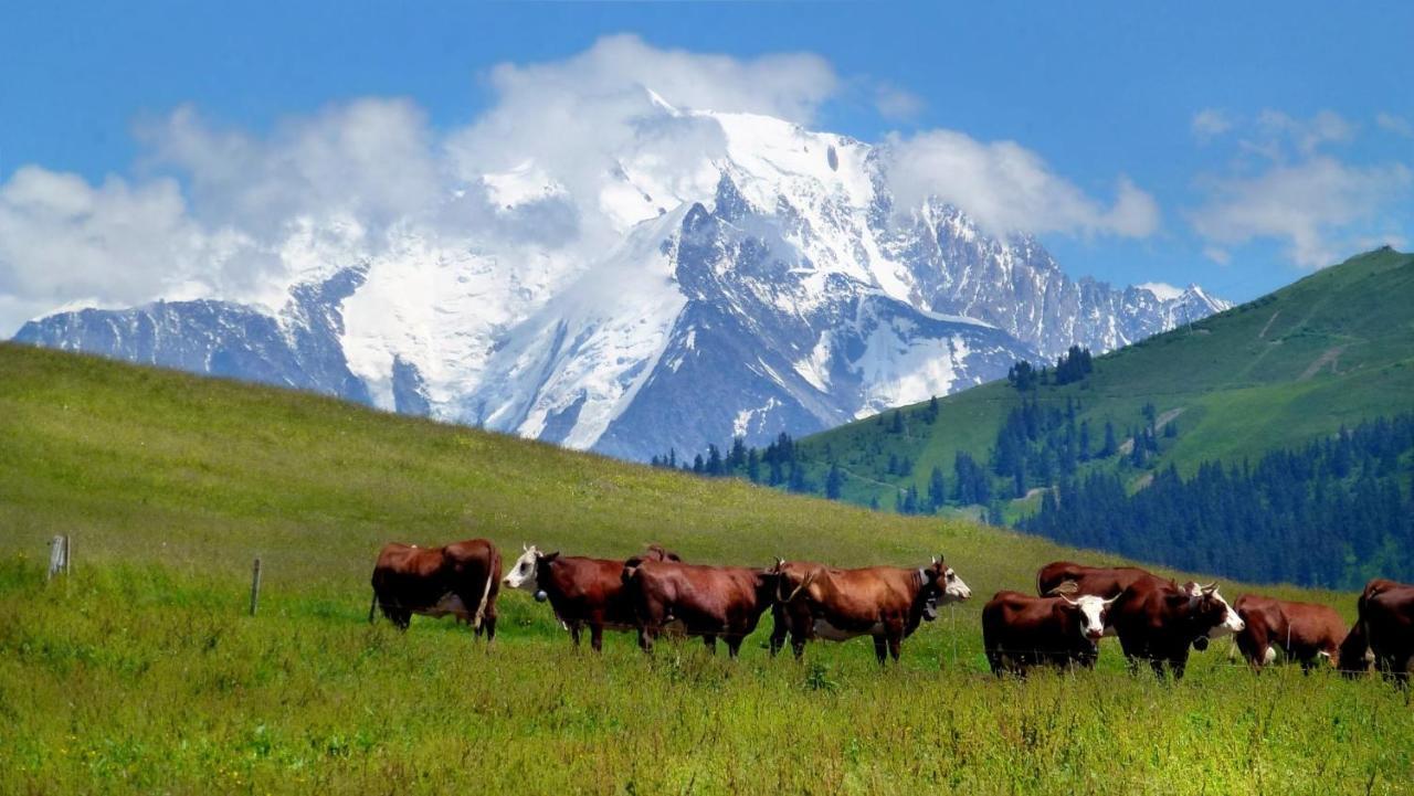 شقة Coeur Des Alpes كومْبلو المظهر الخارجي الصورة